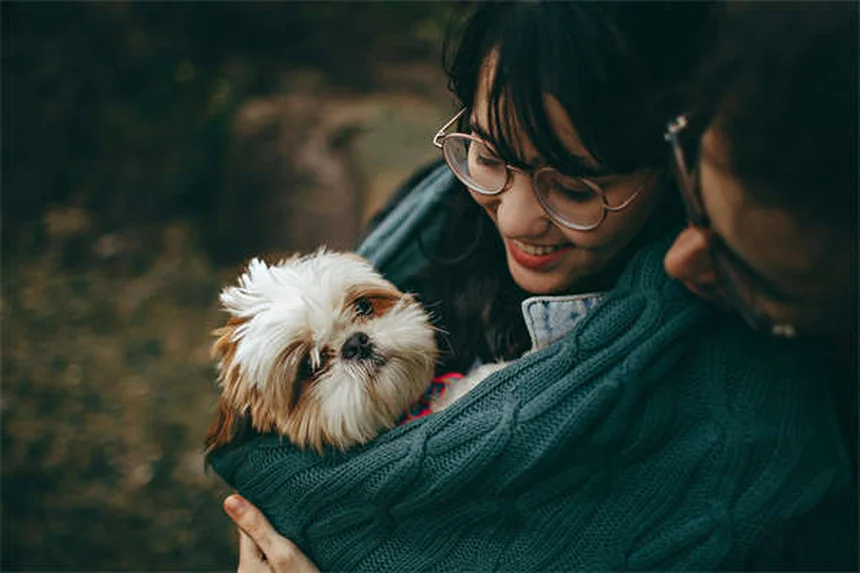 穏やかな犬種おすすめ14選｜性格や飼い方のコツを徹底解説